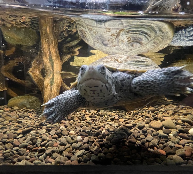 Electric City Aquarium & Reptile Den (Scranton,&nbspPA)